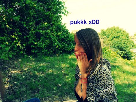 piknik20iugghk.jpg